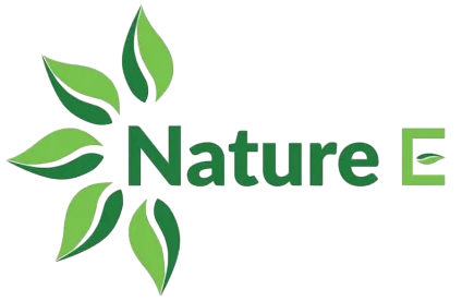 7 Combo – Nature E BD